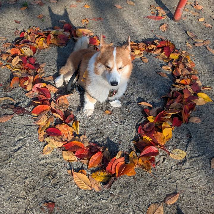 6896aaf1 4c83 4886 82e3 4e4dc0c72d22 1764300130387