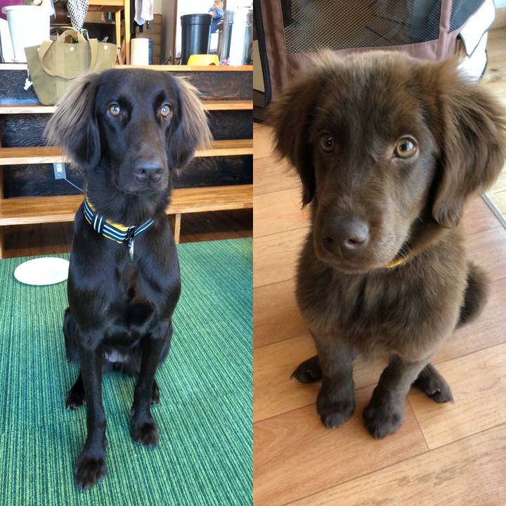 6896d51e ce6b 4014 a44a 8979c39ad3b7 1575530316415