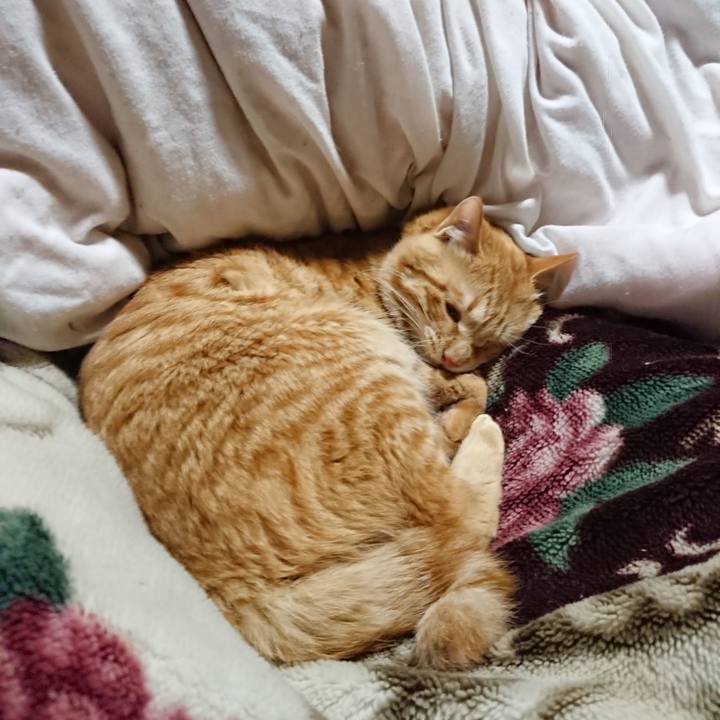 6896d806 029c 4fab b9a4 a9e702900320 1645530085799