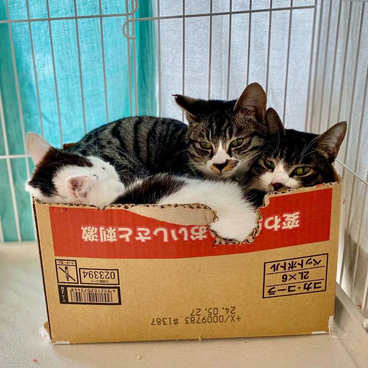 6896dce7 4cf6 4b4a 9151 95b6ecb76cba 1707884254769