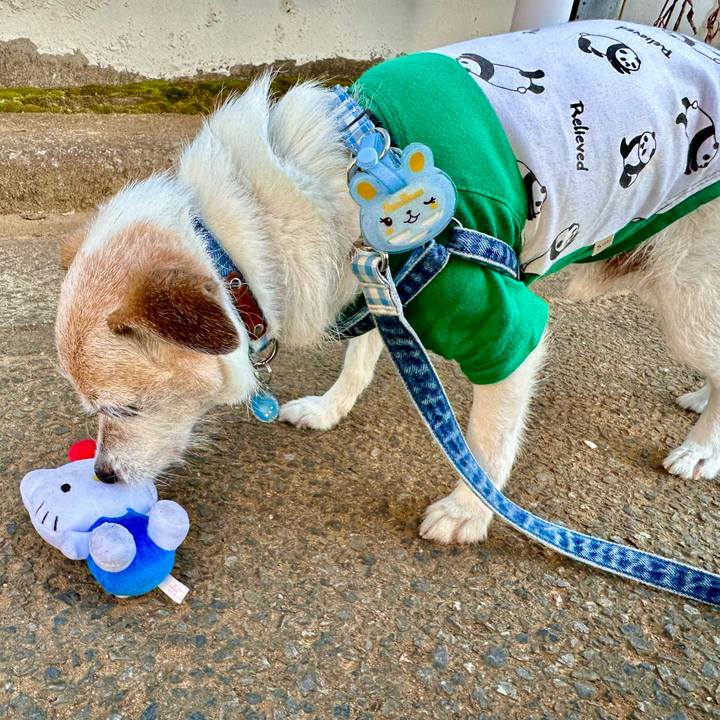 689715f3 336c 43d9 810c faa0a5164a9b 1716979851730