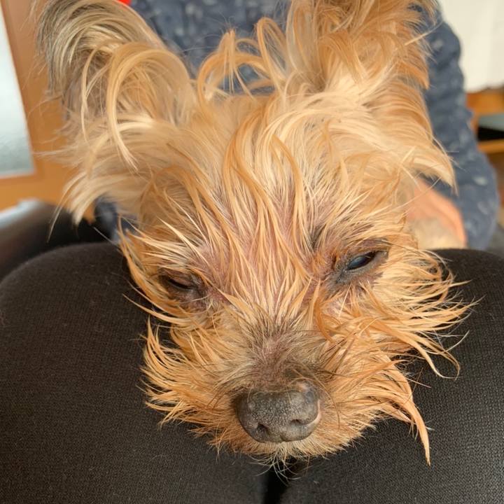 68971e3e 44df 4975 a9ab cf6f5f711330 1678440883327