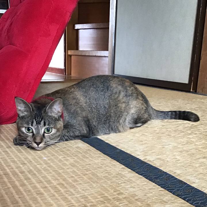 68973aa5 f97f 4495 b54c 9f9091ed8d23 1599704444708