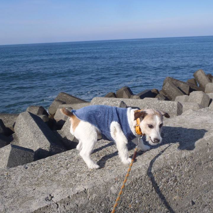 689741ba 69c0 4a62 b77e 887f18726e0c 1548839819873