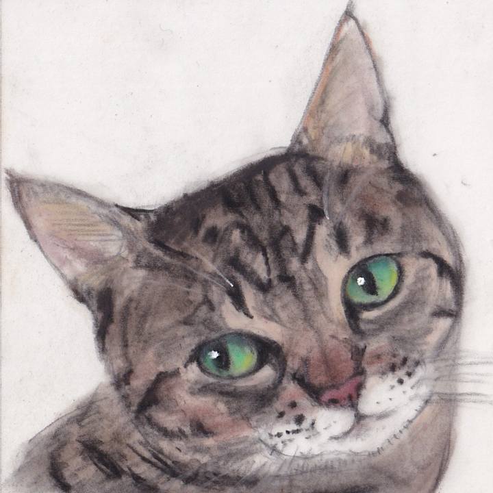 689743ee 3751 423c 8b45 7543ac6f833b 1744328976384