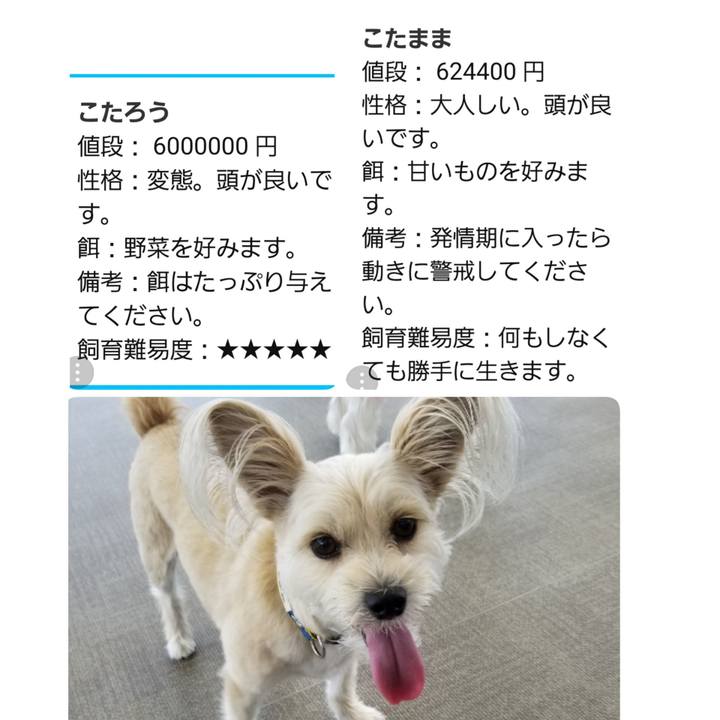 689784c7 8633 4830 9dc4 abf2c51b7afe 1529832499761