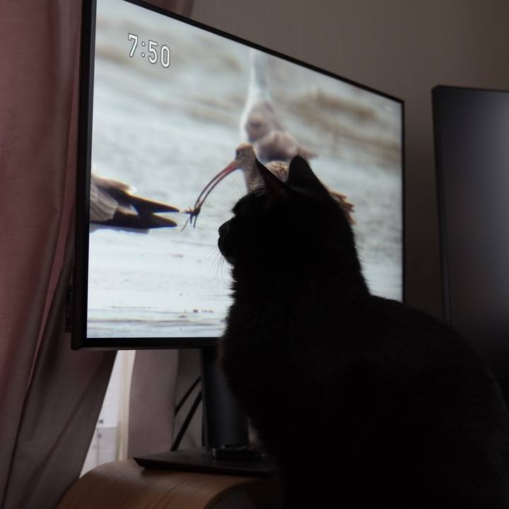 68979e2a 75fe 4bfd 8387 00711a10577d 1699276568360