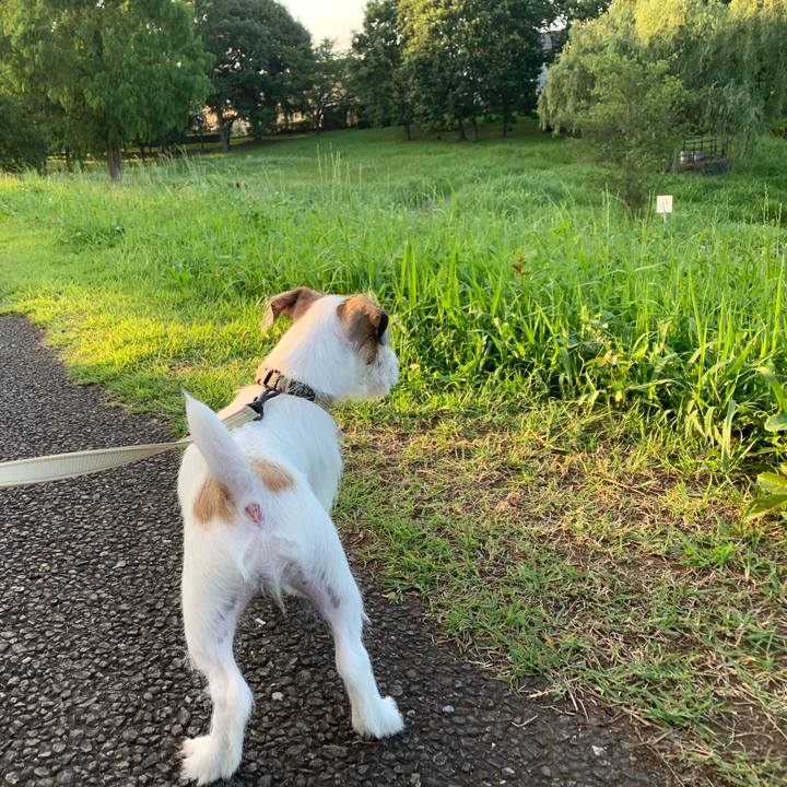 6897bd26 b165 4de3 9bab 3e496cfd4699 1562751806045