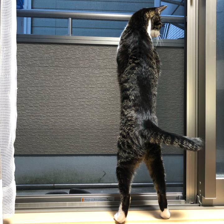 6897d3f2 d01d 420b 94fe 2426c9187070 1646185315600