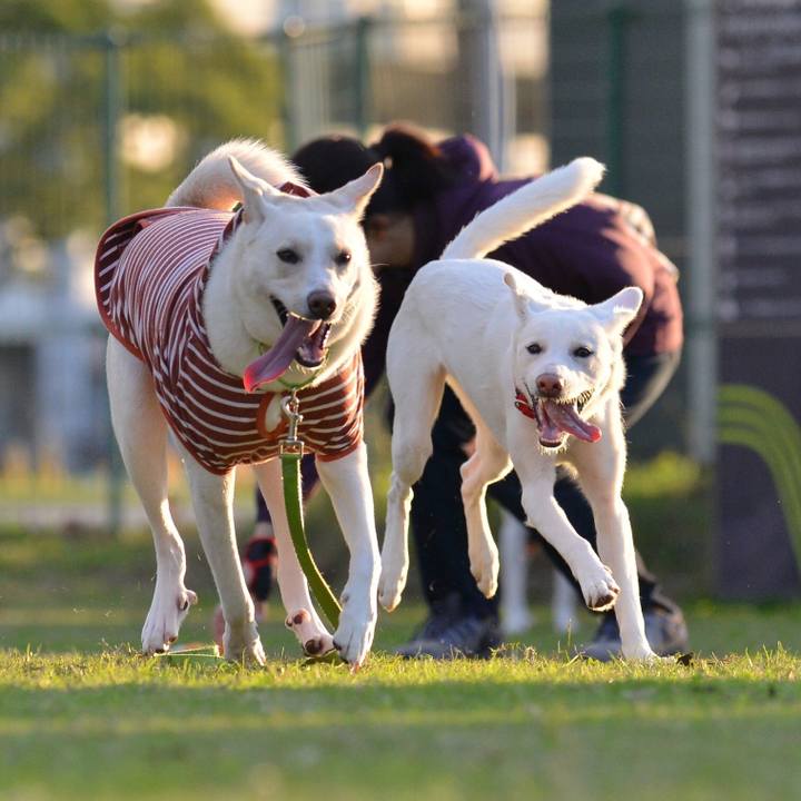 6897f651 abf6 4bb3 b4dc 5f74145146f4 1509100026864