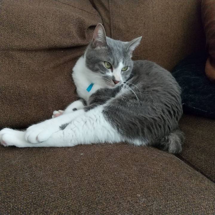 68980b5f 4cca 4a39 a7e6 983368bcaa21 1641090965991