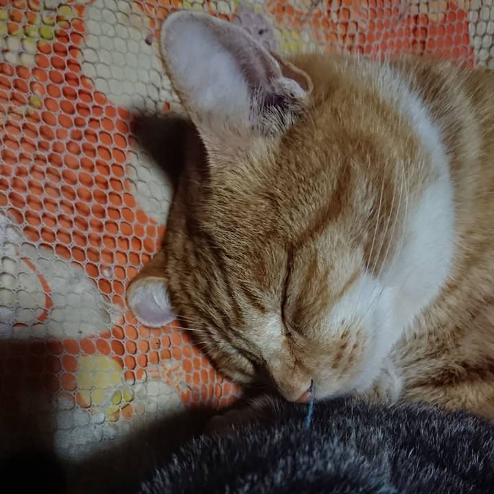 68987f31 8af4 4b5c 9ea2 5ee1a936408c 1577103096771