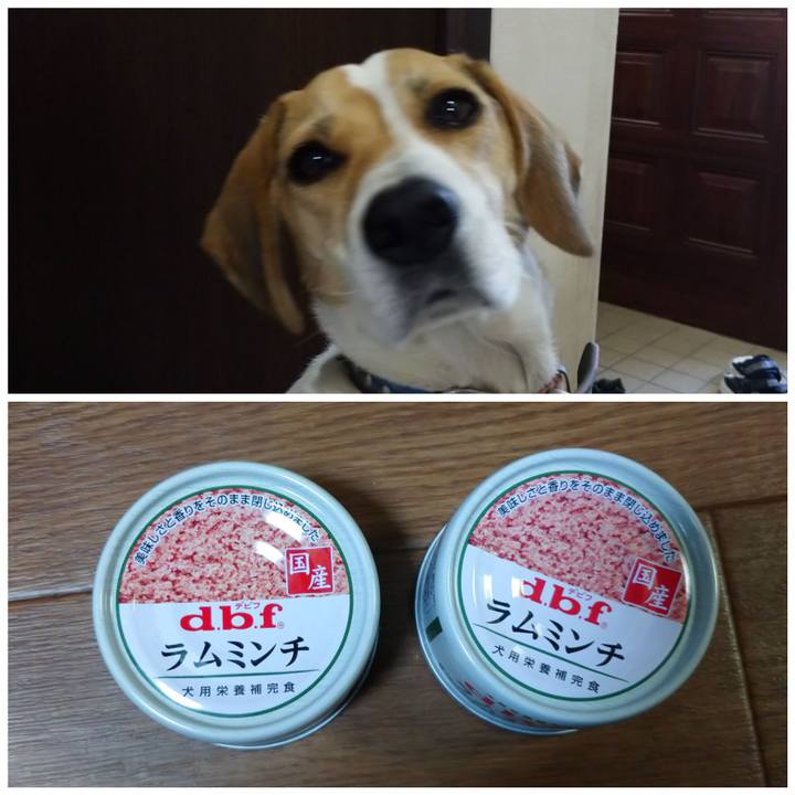 68988280 22a7 41a8 81f6 1508a968f9e4 1605077221884