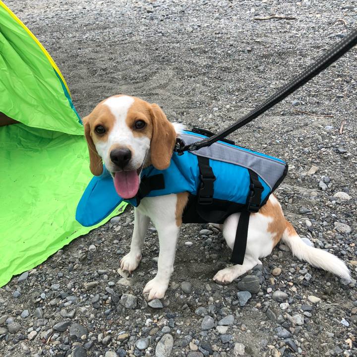 6898910a bc45 4f75 b818 419bc5f91eea 1537774379030