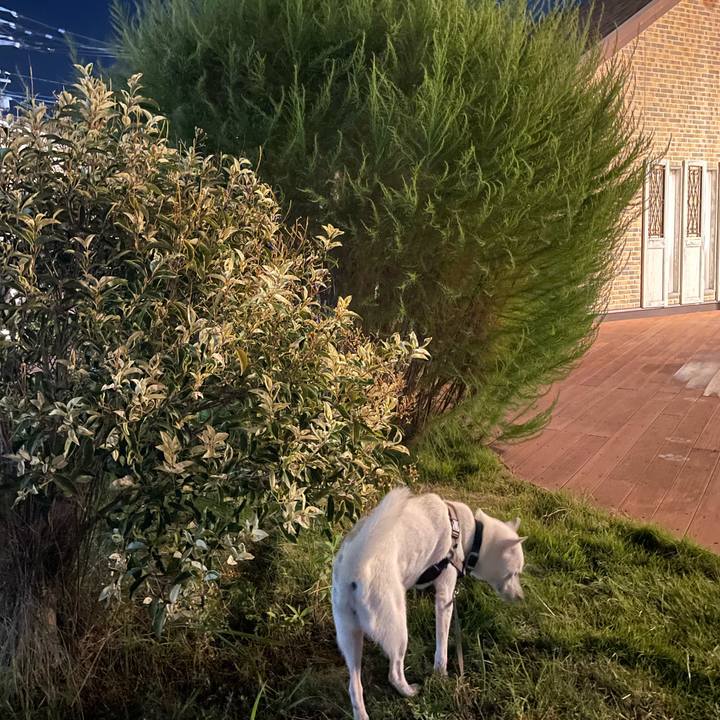 68989248 0e8c 4448 b4d3 4ff5ef77b2bd 1697110362331