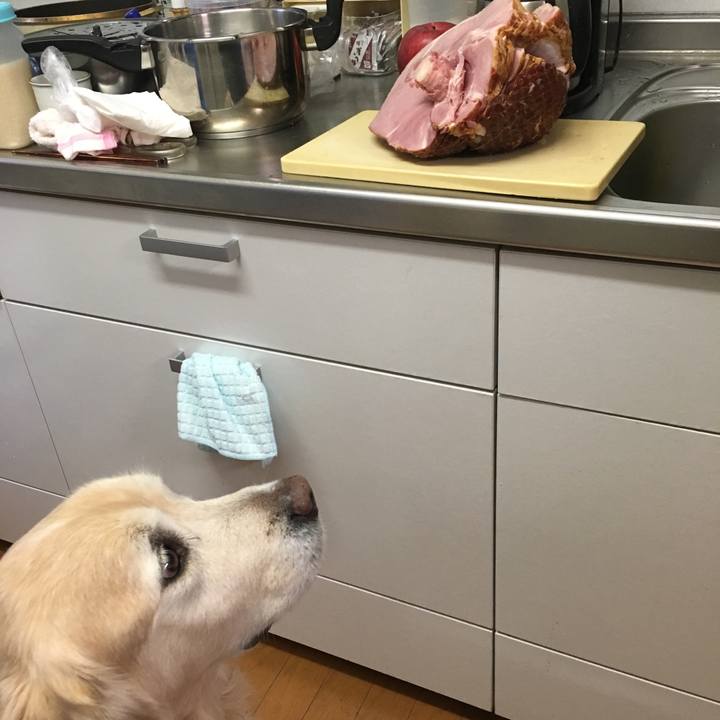 6898924e 79a7 41dc 8d8c 14440f65c521 1515811434458