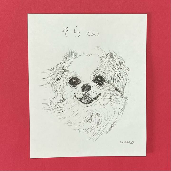 6898de10 a025 4a17 9648 c425a74cc06c 1650424698687