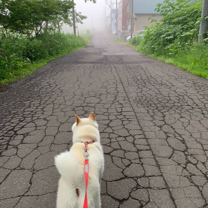 6899157e ad43 4713 8029 d7824f302290 1559768088663