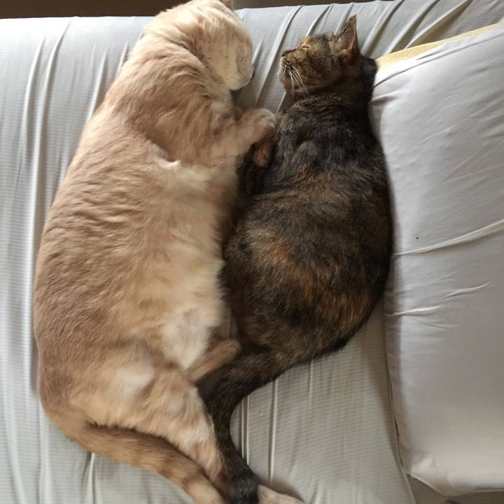 6899311e 34cb 43eb a3cf 18974dd359b7 1627428272100