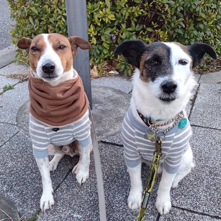 689943ae 055e 4ec2 9bbc 9695e7cd7c67 1677538858754