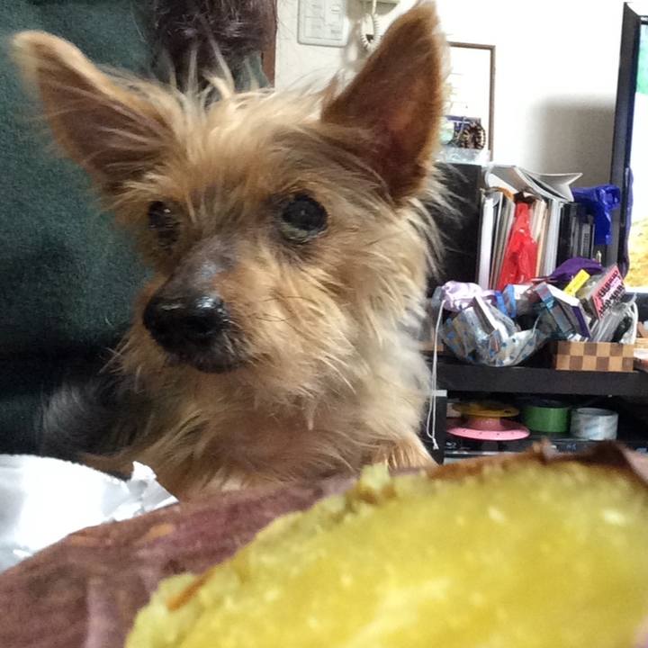 68998fa1 7262 4952 a2ca b19f70072610 1728569036970