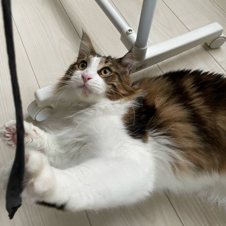 6899b049 b4d3 4942 8b7e f40b71a338c3 1654463037381