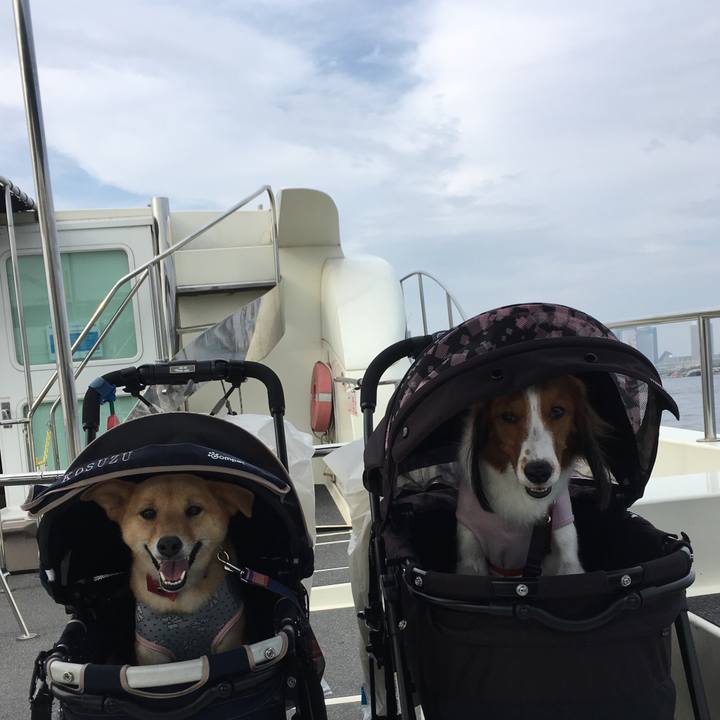 6899b7da 8b65 4595 9fba 8ab4da59ec24 1529858366656