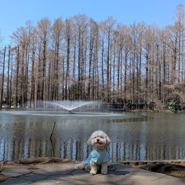 6899e7b0 e025 4083 92cc 1c47b4154efe 1774096471640