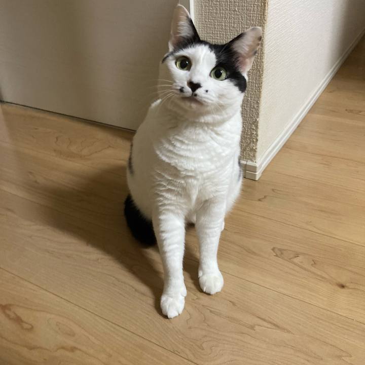 689a1af4 b04b 49a1 b29a 1b8317c727ad 1760039265469