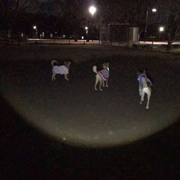 689a8fa1 5882 4e2b 98c4 8c16ecae44a2 1548850633430