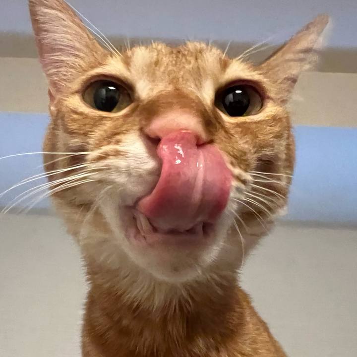 689ac425 d2ee 459e 9463 8880d7ab3382 1641708232246