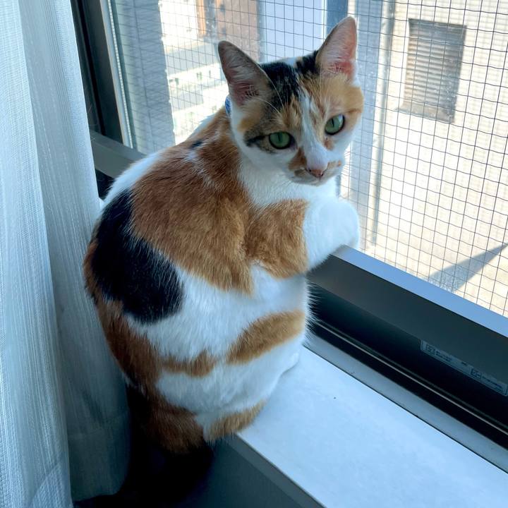 689af826 5839 45ea 9b1f 157b305ecaf0 1721619049292