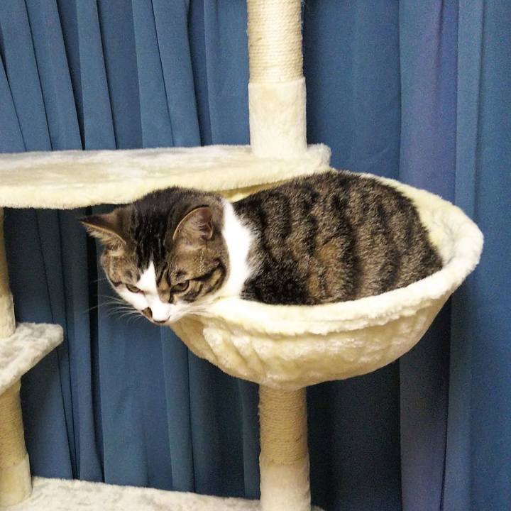 689b019c 6501 4c7d 9dcd 5c309011755c 1631272827325