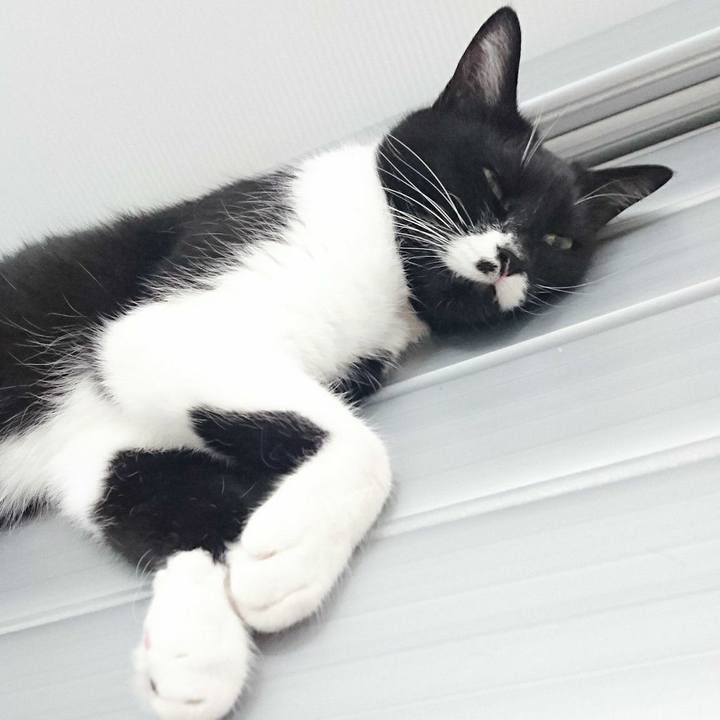 689b5a85 e2c9 4dea 9528 d9f0f2664dfc 1527869163288