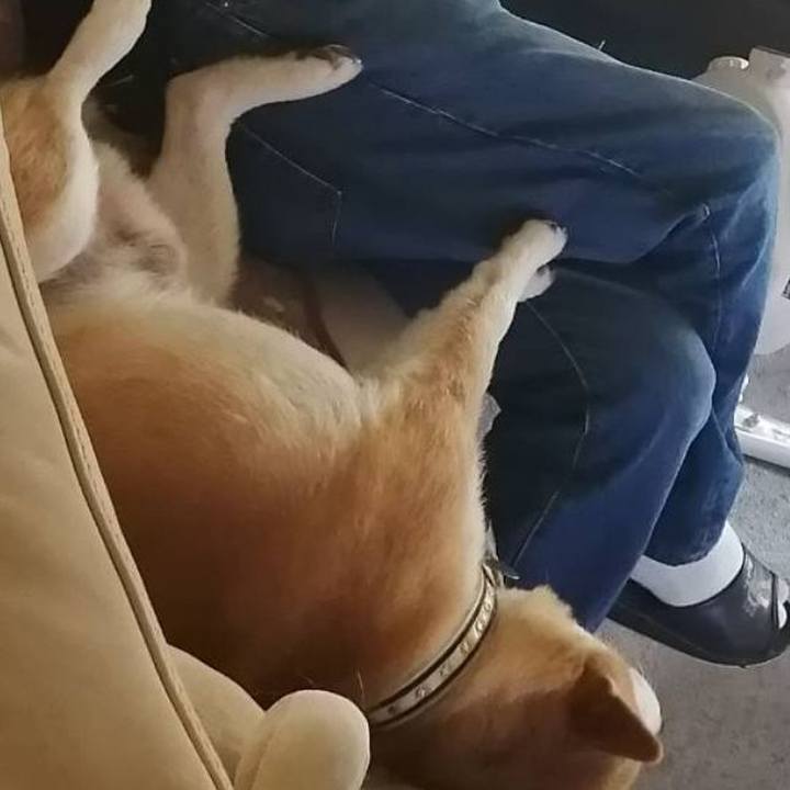 689ba994 80a0 4d58 bc73 512ef0cc67bb 1596525551473