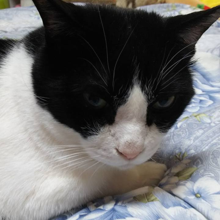 689ba9d8 0770 4530 81bc cb956dc37b6a 1553393920686