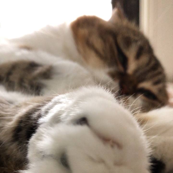 689bbde8 8bb1 4231 a541 2179c8db8444 1537776463863