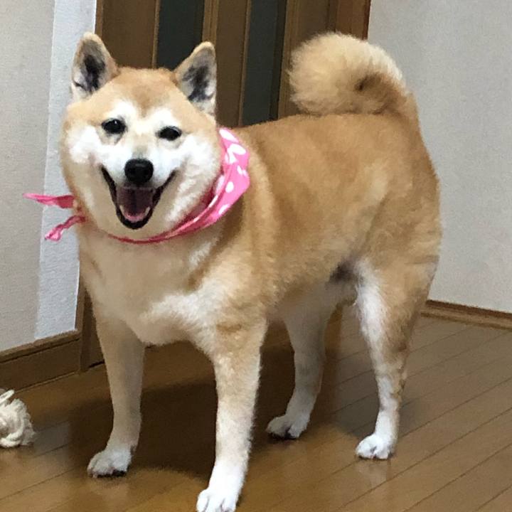 689bd008 c7a3 4983 babd aa779332ed7f 1592354660598