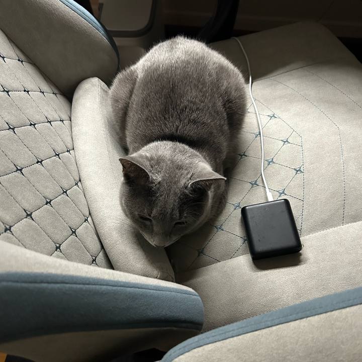 689bdf3b e1d3 41b3 a1d4 fa3a9cbd809b 1709728383458