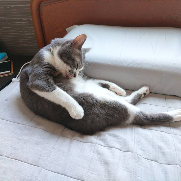 689bfc4a 8719 4232 b521 ed7a33f630d0 1662505254521