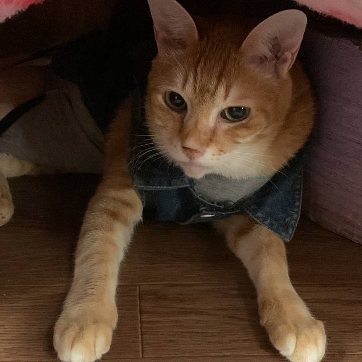 689c5525 ecd8 444b a63d 626d8f421337 1646126723233