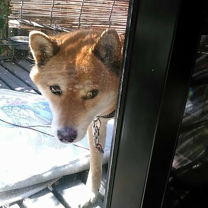 689c609e b94f 4c14 a27f 2be1dda1a496 1552446373879