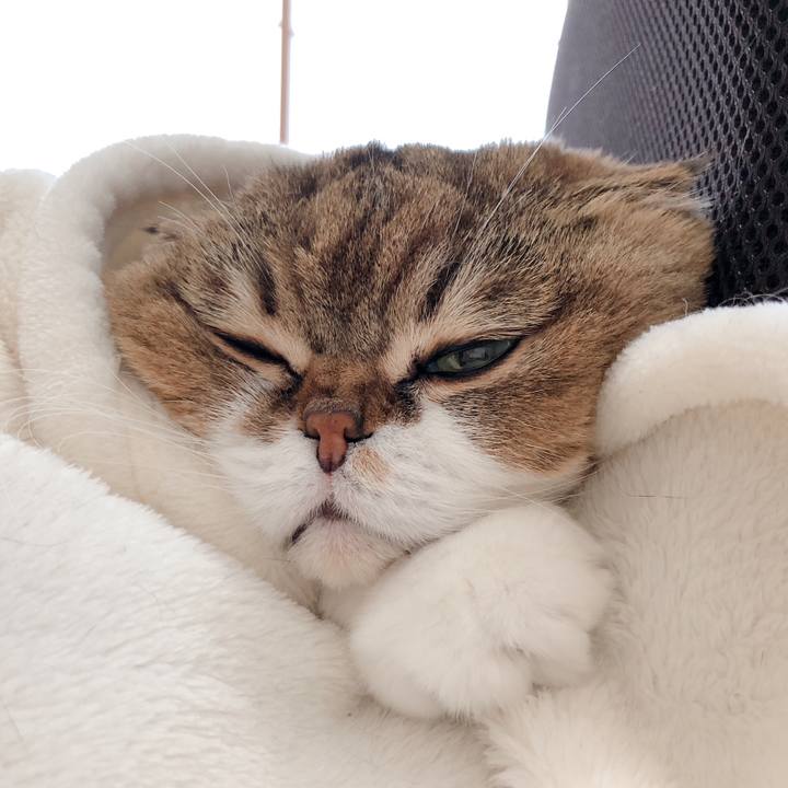 689c74b7 79d9 41b6 bb3f 513cc30b6deb 1603705615749