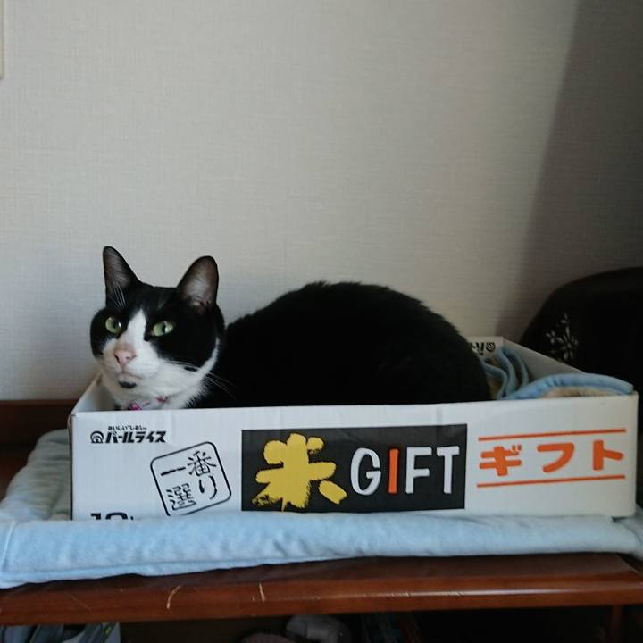 689c8784 a185 4f44 95a2 67222ed95c25 1605313480930