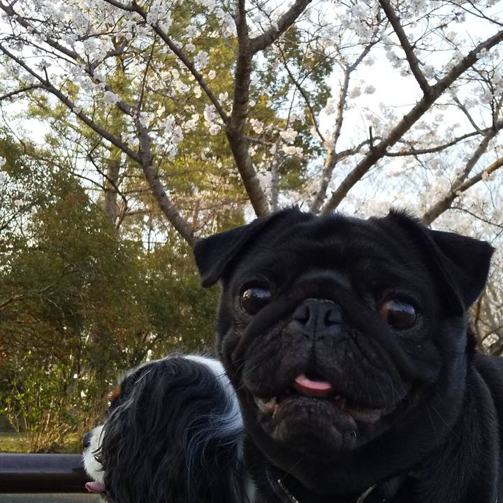 689c9dd2 4b7d 4357 8ba4 ce79e2f6b57a 1585902871020