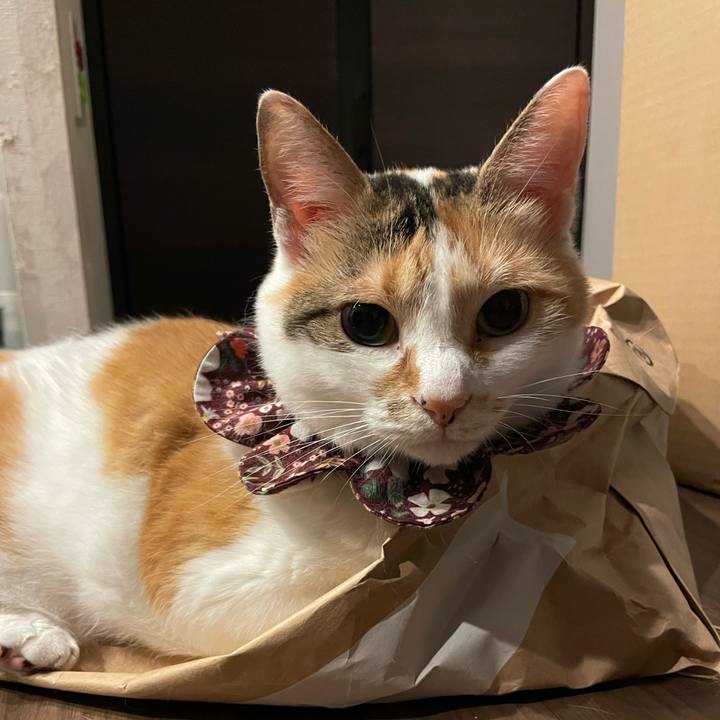 689d051b 5771 4c14 9121 60392de11697 1752326427556