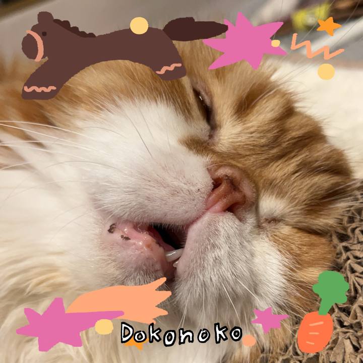 689d0c64 2d1e 4e43 b1ec b8d2136cee28 1772422310214