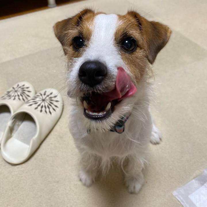 689d12f1 da10 4104 ab47 e9ac467cbbf2 1729897511797