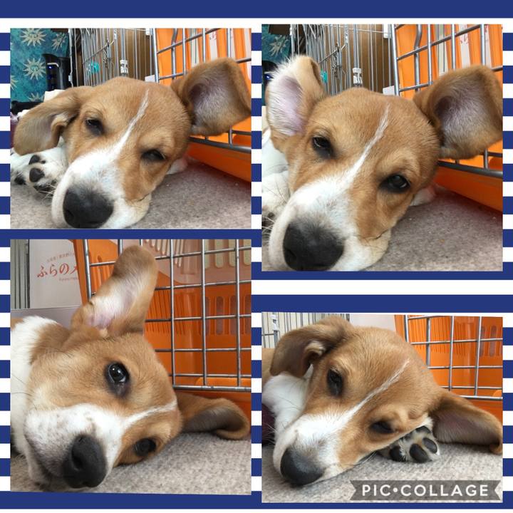 689d583e 68b9 4e05 aff9 24a337b20a07 1594252912643