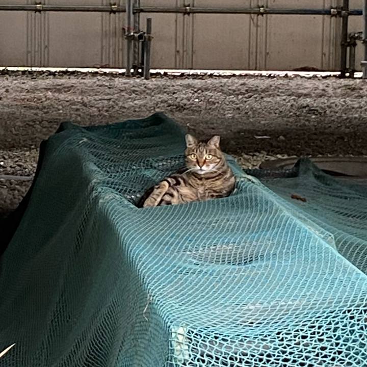 689d600e ec1d 491a bc6d 49d8798ef2ed 1662816320637